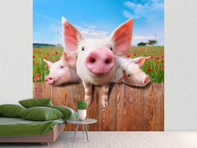 Load image into Gallery viewer, Photo Wallpaper Pig In Luck
