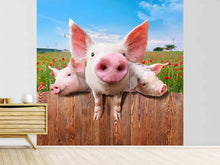 Load image into Gallery viewer, Photo Wallpaper Pig In Luck
