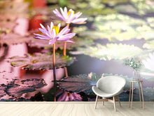 Load image into Gallery viewer, Photo Wallpaper Lilies In Pond
