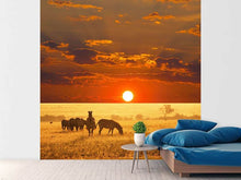 Load image into Gallery viewer, Photo Wallpaper Seregenti National Park
