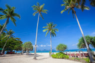 Photo Wallpaper Summer Sun Beach