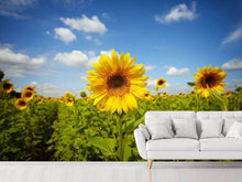 Load image into Gallery viewer, Photo Wallpaper Summer Sunflowers
