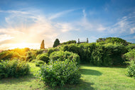 Photo Wallpaper Sunrise In The Park