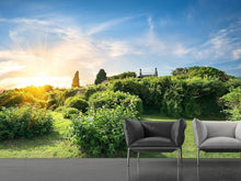 Load image into Gallery viewer, Photo Wallpaper Sunrise In The Park
