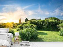 Load image into Gallery viewer, Photo Wallpaper Sunrise In The Park
