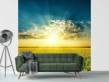 Load image into Gallery viewer, Photo Wallpaper Sunflowers In The Evening Sun
