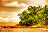Photo Wallpaper Sunset At The End Of The Forest
