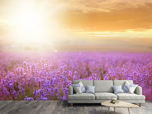 Load image into Gallery viewer, Photo Wallpaper Sunset In Lavender Field
