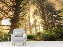 Load image into Gallery viewer, Photo Wallpaper Sunset In Jungle
