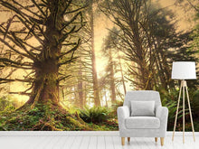 Load image into Gallery viewer, Photo Wallpaper Sunset In Jungle
