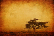 Photo Wallpaper Sunset Mood