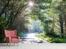 Load image into Gallery viewer, Photo Wallpaper Sunny Forest Path
