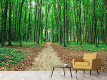 Load image into Gallery viewer, Photo Wallpaper Pine Forests
