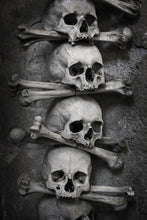 Load image into Gallery viewer, Photo Wallpaper Skulls

