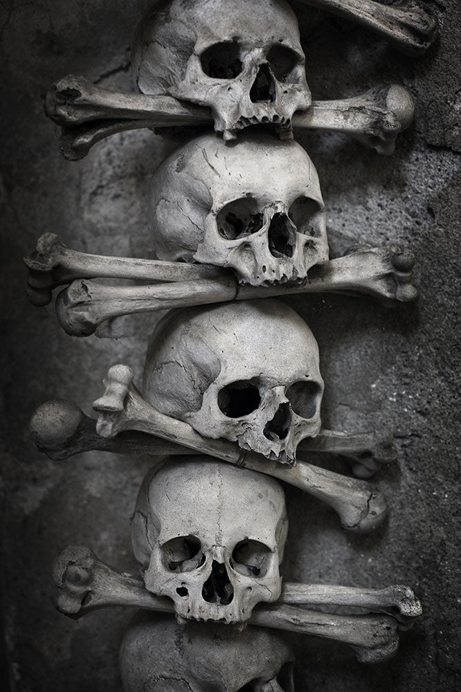 Photo Wallpaper Skulls