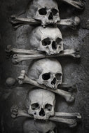 Photo Wallpaper Skulls