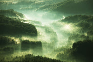 Photo Wallpaper Over The Woods