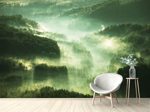 Photo Wallpaper Over The Woods