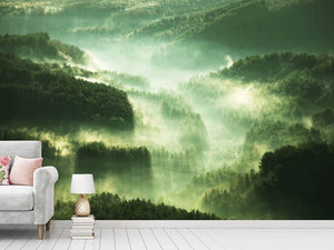 Photo Wallpaper Over The Woods