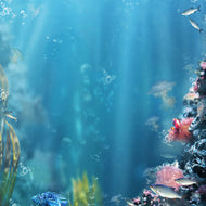 Photo Wallpaper Underwater