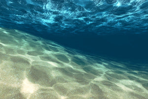 Photo Wallpaper Under The Water