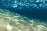 Photo Wallpaper Under The Water