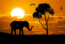 Load image into Gallery viewer, Photo Wallpaper Dreamy Africa
