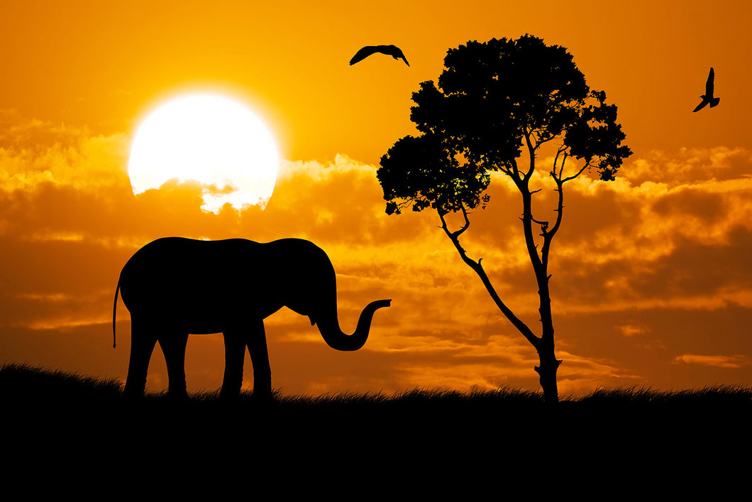 Photo Wallpaper Dreamy Africa