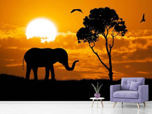 Load image into Gallery viewer, Photo Wallpaper Dreamy Africa
