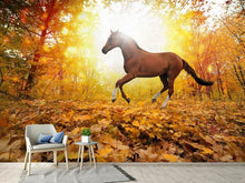 Load image into Gallery viewer, Photo Wallpaper Whole Blood In Autumn Forest
