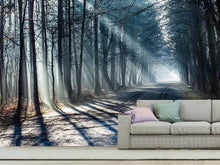 Load image into Gallery viewer, Photo Wallpaper Forest In The Light Beam
