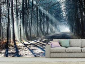 Photo Wallpaper Forest In The Light Beam