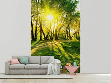 Load image into Gallery viewer, Photo Wallpaper Forest Path In Sunlight
