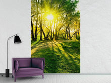 Load image into Gallery viewer, Photo Wallpaper Forest Path In Sunlight
