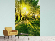 Load image into Gallery viewer, Photo Wallpaper Forest Path In Sunlight
