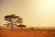 Photo Wallpaper Pastures In Kenya