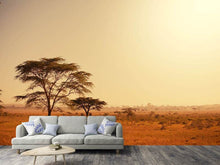 Load image into Gallery viewer, Photo Wallpaper Pastures In Kenya
