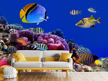 Load image into Gallery viewer, Photo Wallpaper World Of Fish

