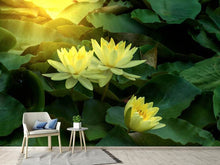 Load image into Gallery viewer, Photo Wallpaper Wild Lotus
