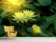 Load image into Gallery viewer, Photo Wallpaper Wild Lotus
