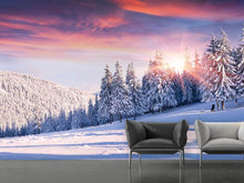 Load image into Gallery viewer, Photo Wallpaper Winter Landscape
