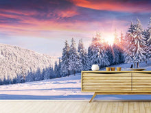 Load image into Gallery viewer, Photo Wallpaper Winter Landscape
