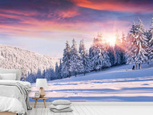 Load image into Gallery viewer, Photo Wallpaper Winter Landscape
