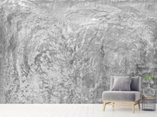 Load image into Gallery viewer, Photo Wallpaper Wipe Technique In Gray

