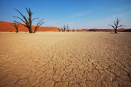 Photo Wallpaper Desert