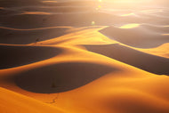 Photo Wallpaper Wilderness Journey