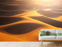 Load image into Gallery viewer, Photo Wallpaper Wilderness Journey
