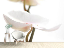 Load image into Gallery viewer, Photo Wallpaper XXL Orchid Flower
