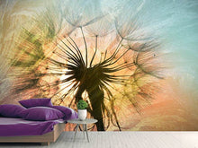 Load image into Gallery viewer, Photo Wallpaper XXL Dandelion
