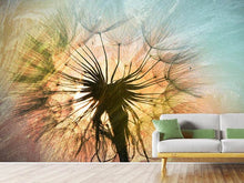 Load image into Gallery viewer, Photo Wallpaper XXL Dandelion
